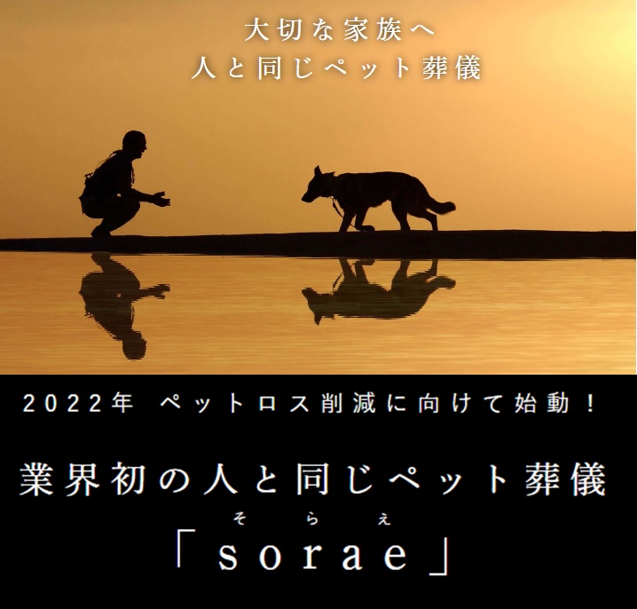soraeティーザーページ