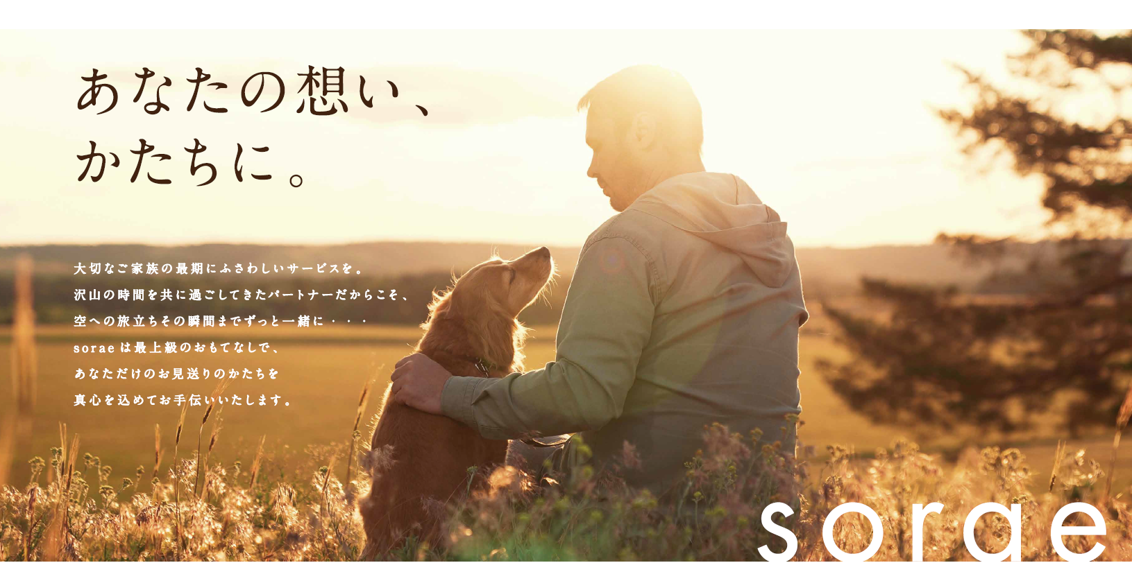 ペット葬儀soraeを「Pet博2024幕張メッセ」に出展 - 株式会社 ペット葬儀soraeを「Pet博2024幕張メッセ」に出展 - 株式会社